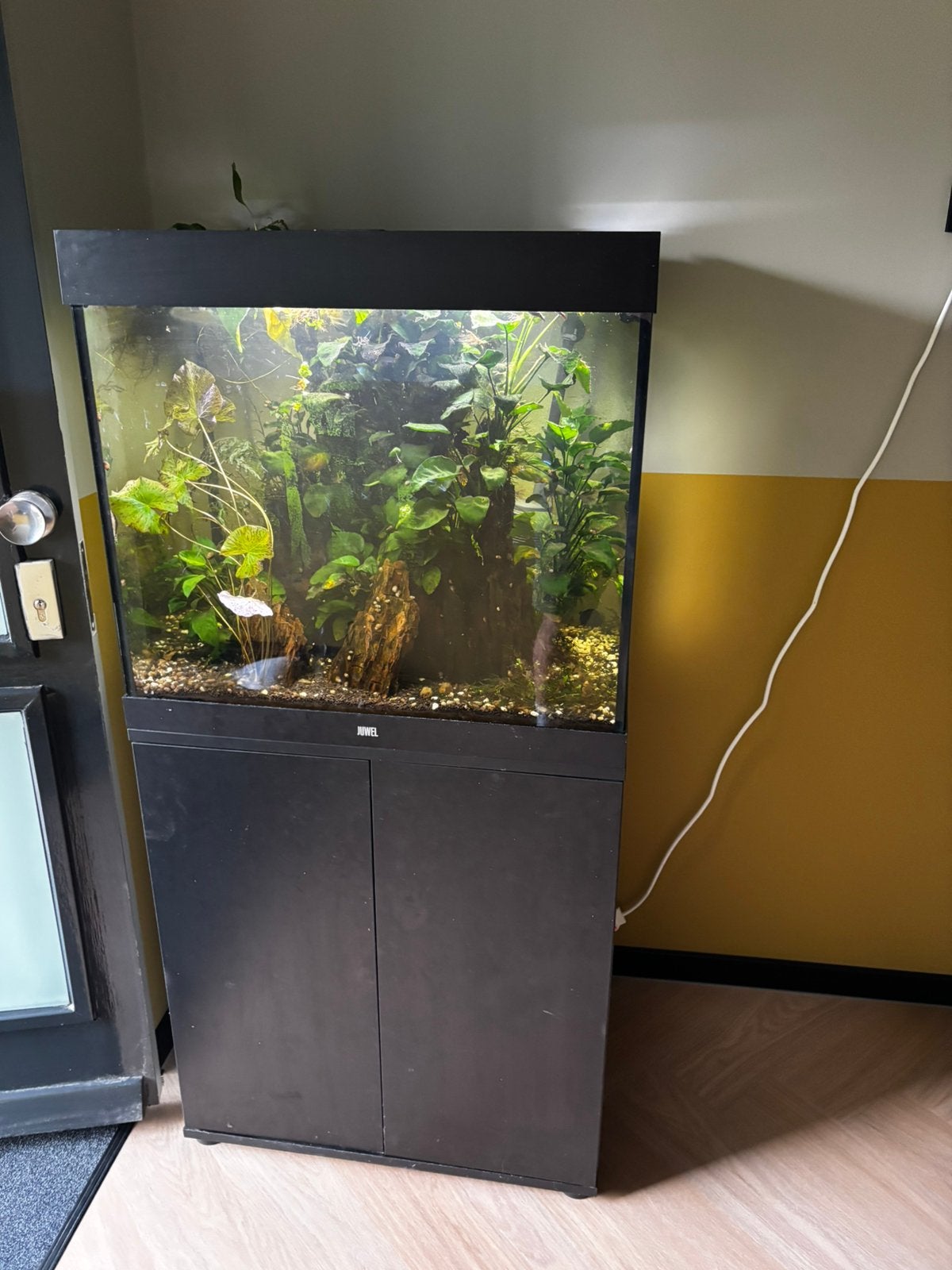 Juwel lido 200 met eheim filter, Dieren en Toebehoren, Ophalen