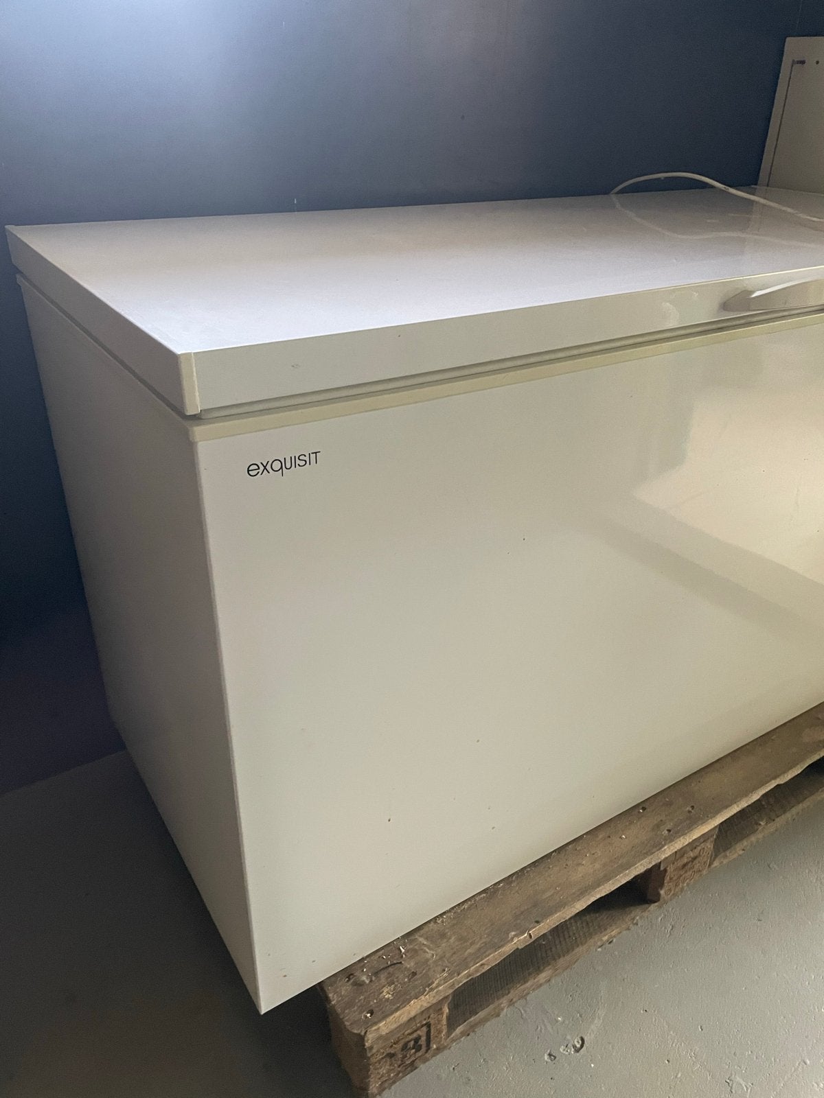 Exquisit vriezer - Ruime en efficiënte vrieskist, 200 liter of meer, 60 cm of meer, Nieuw, Met vriesvak