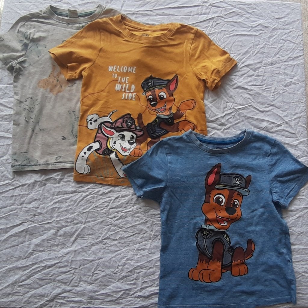 3 t-shirts jongen mt 110-116, Kinderen en Baby's, Kinderkleding | Maat 116, Gebruikt, C&A, Ophalen of Verzenden, Shirt of Longsleeve