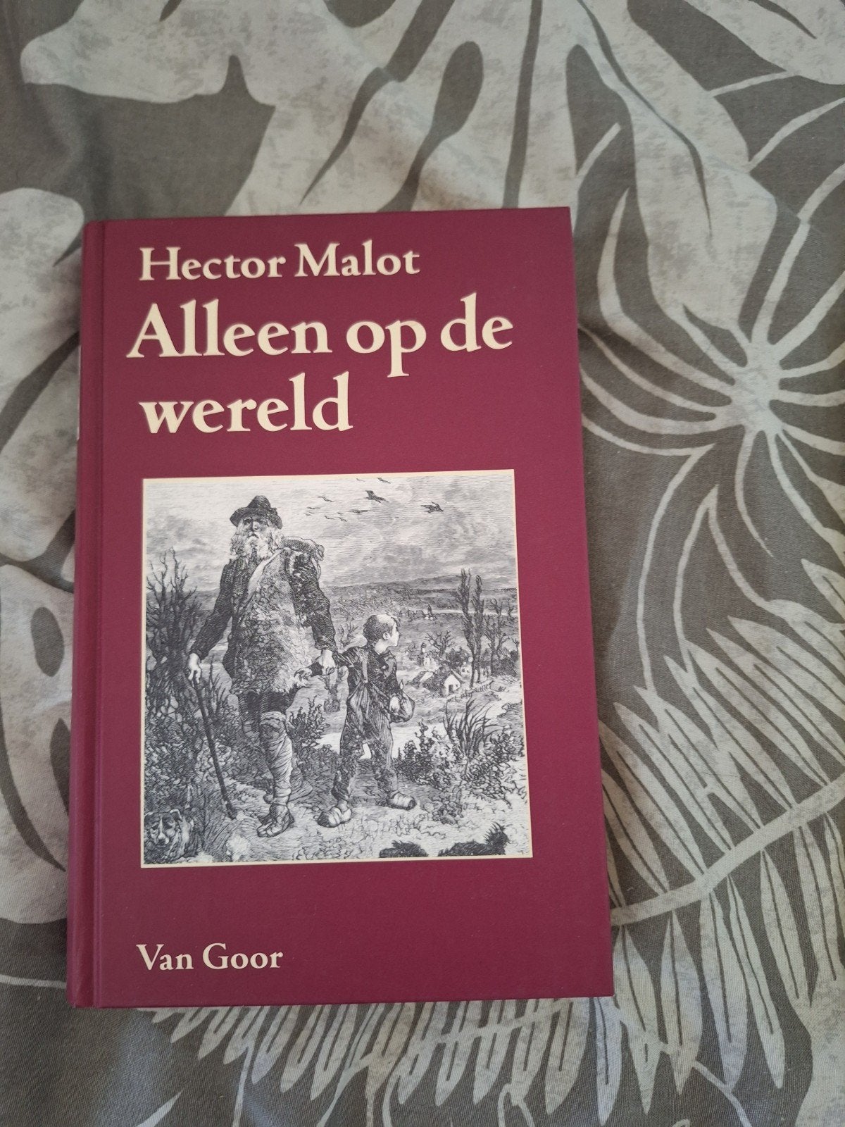 Alleen op de wereld - Hector Malot (Van Goor), Ophalen of Verzenden, Zo goed als nieuw, Hector Malot, Nederland