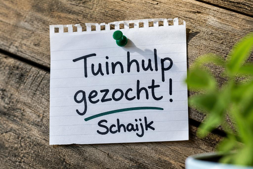 Gezocht: Tuinhulp in Schaijk (bijverdienen), Tuinonderhoud of Snoeiwerk