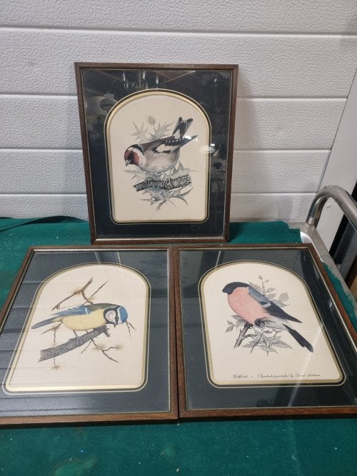vogel prenten david andrews drie stuks vintage, Huis en Inrichting, Ophalen of Verzenden, 'T Olde Gre-j, Info@toldegrej.nl, Endepoelstraat 20f Didam