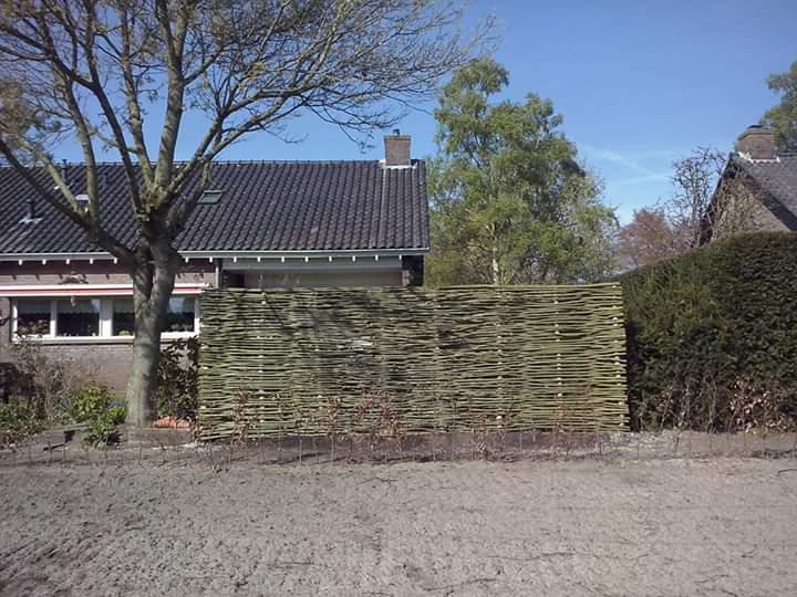 Wilgentenen voor natuurlijke schutting border erfscheiding, Tuin en Terras, Schuttingen, Gerard Krale, Nieuw, Ophalen of Verzenden