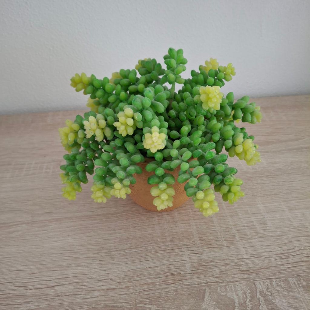 Kunstplantje, Ophalen, Nieuw