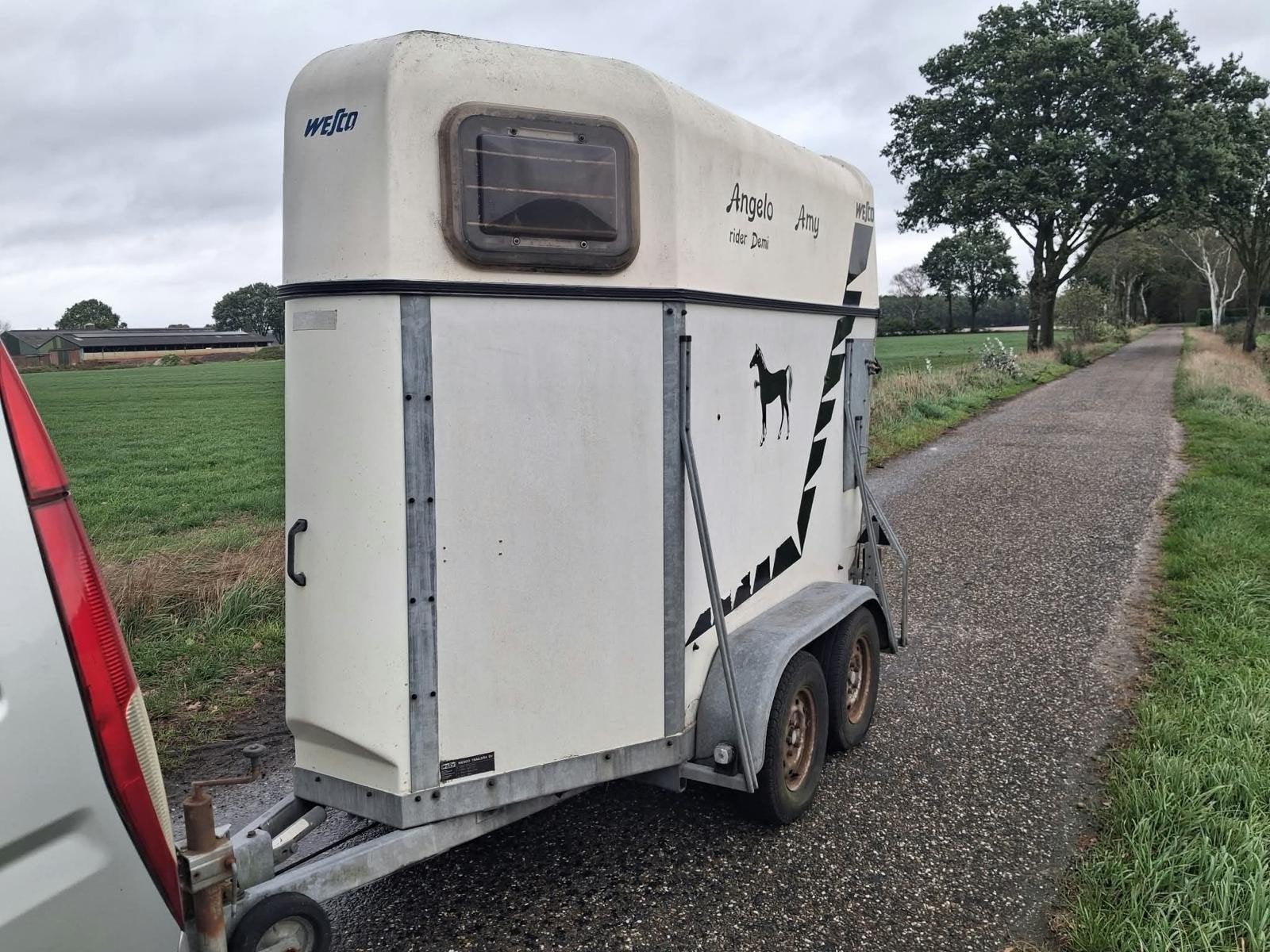 veewagen veetrailer rundvee, Vrouwelijk, 0 tot 2 jaar