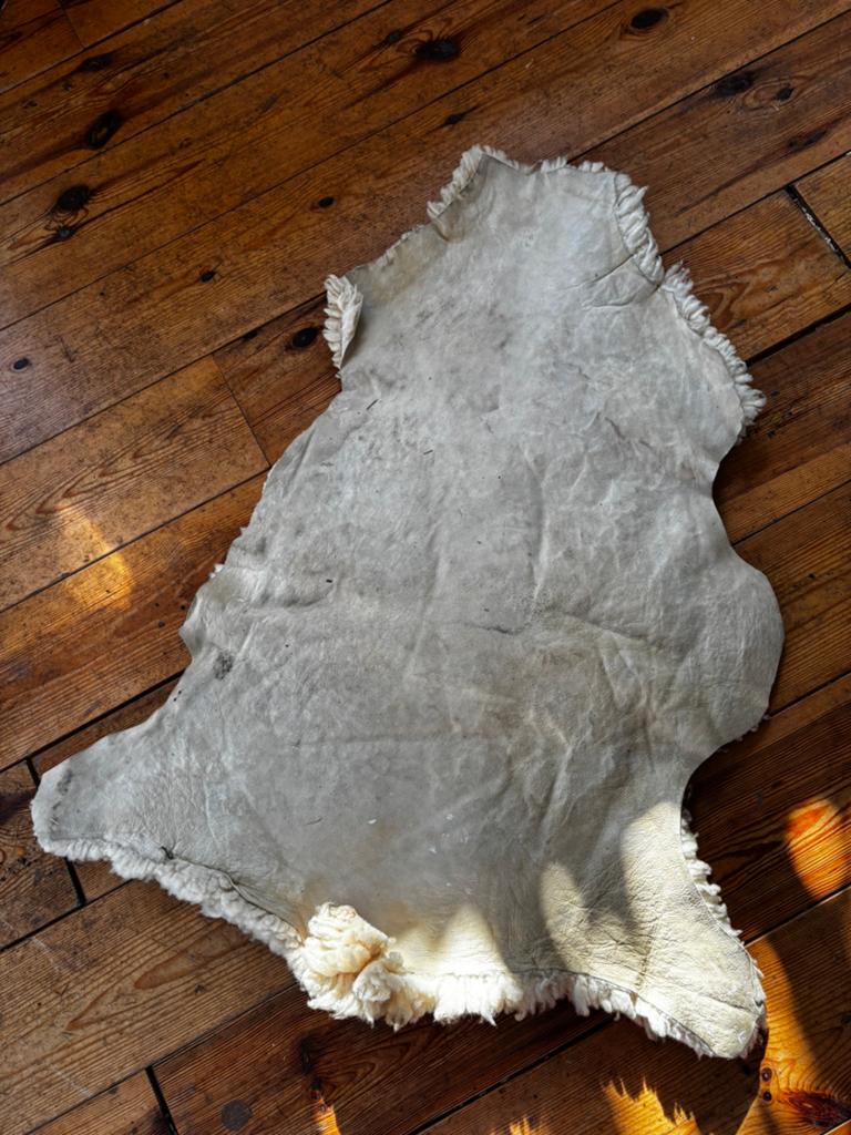 Schapenvacht vloerkleed - Crème/Wit, Ophalen, Gebruikt, 100 tot 150 cm, 50 tot 100 cm