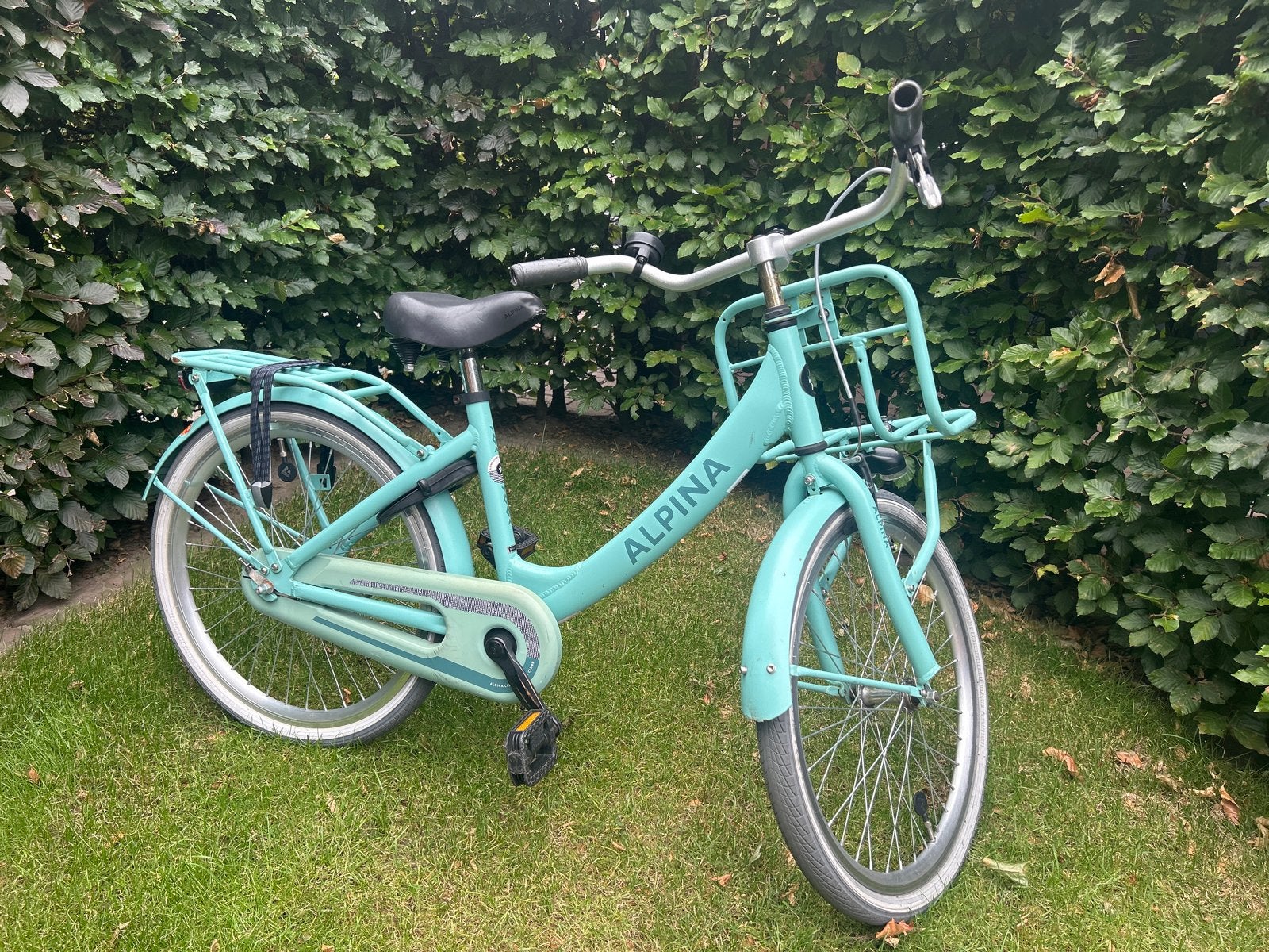 Alpina meisjesfiets 22 inch - Gebruikt, Ophalen, Gebruikt, 22 inch