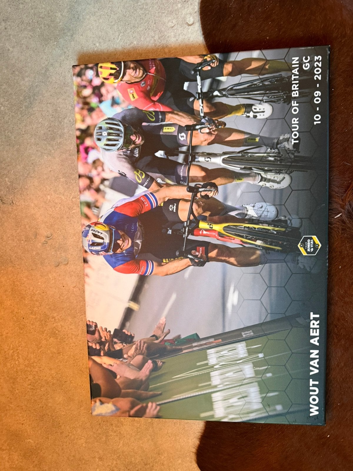 Jumbo-Visma canvas, Ophalen of Verzenden, Zo goed als nieuw, Overige sporten, Overige typen