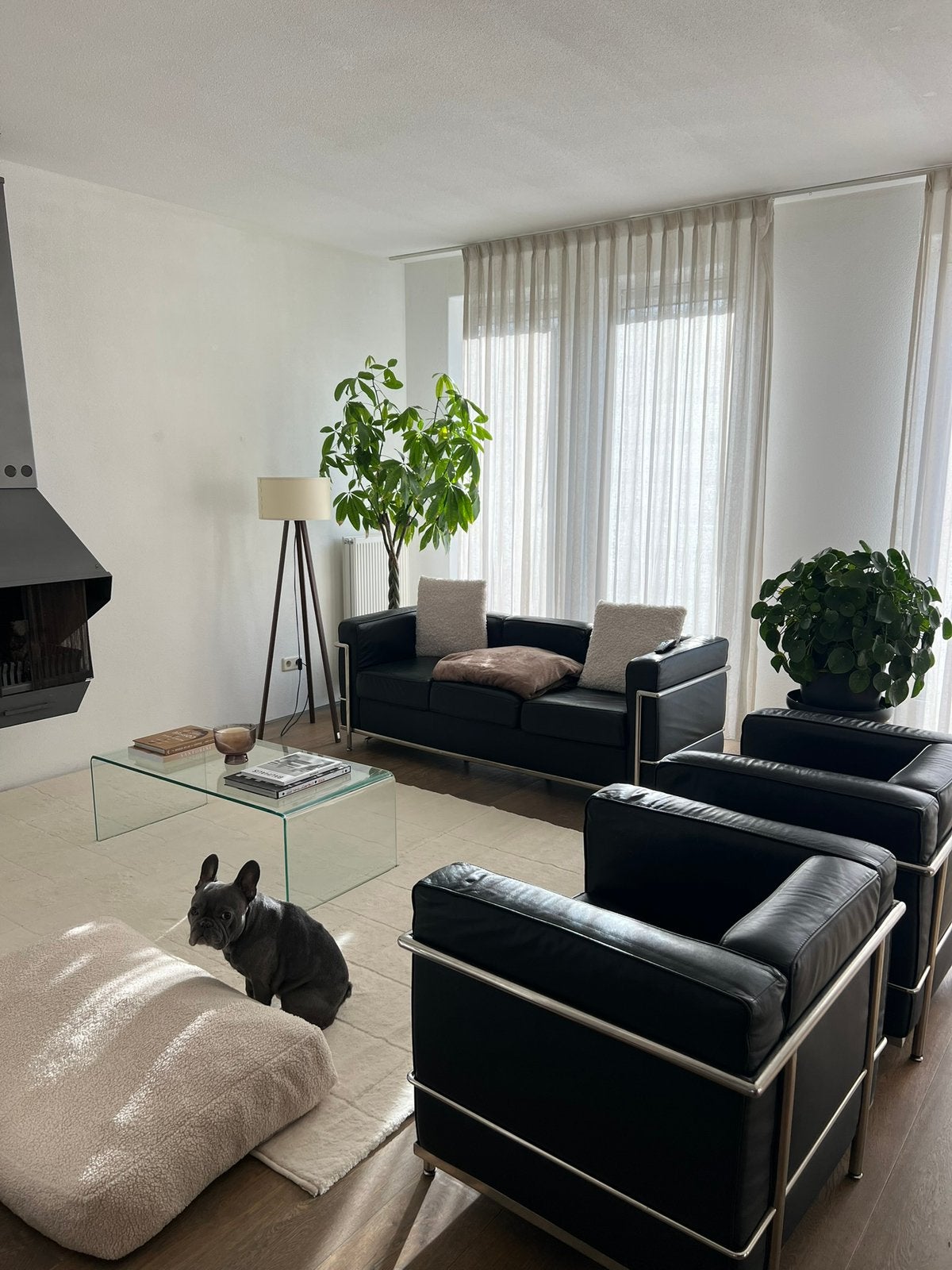 Le Corbusier replica bank + 2 stoelen – luxe set, Ophalen, Gebruikt, Leer