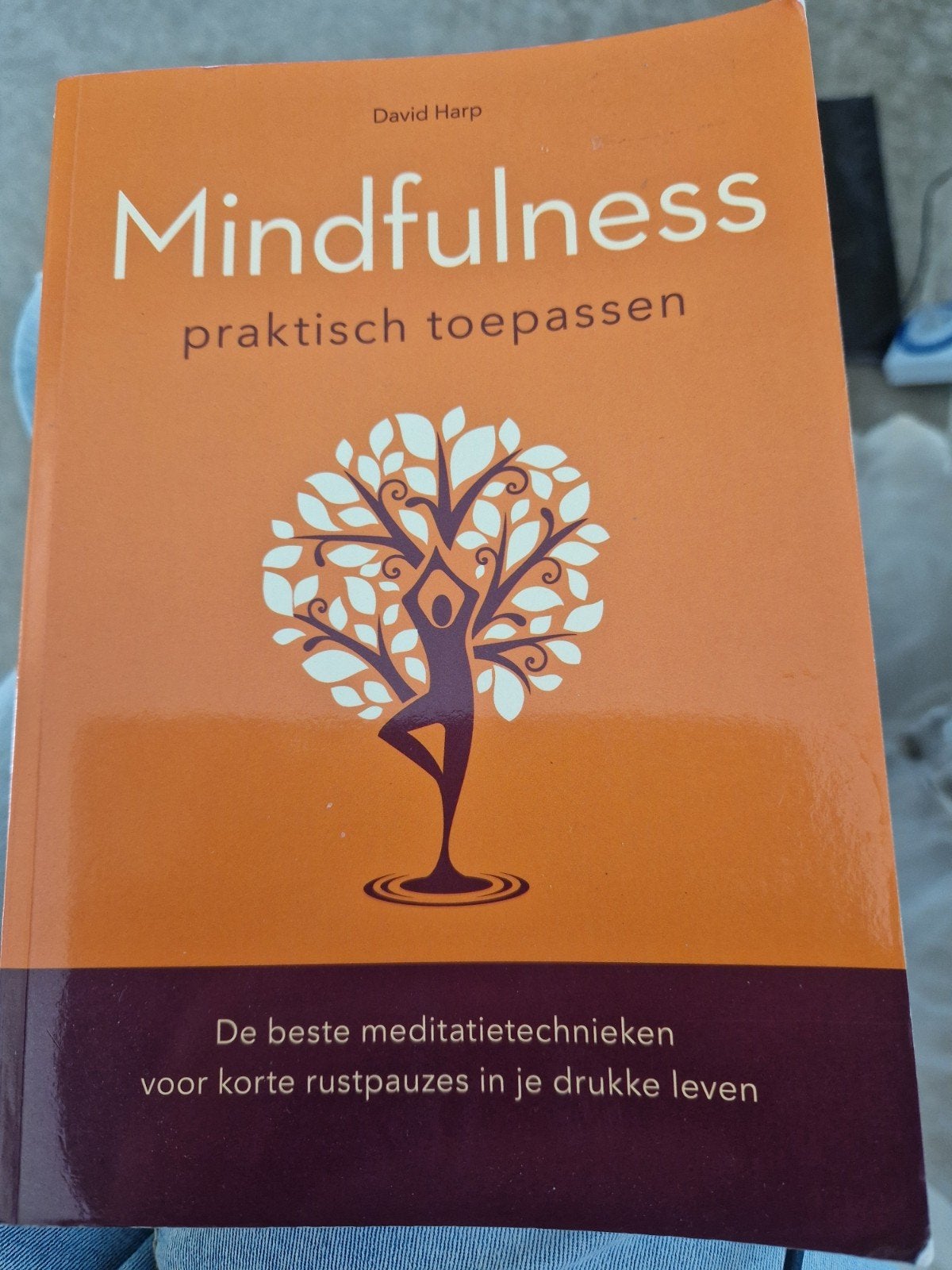 Mindfulness praktisch toepassen - David Harp, Ophalen of Verzenden