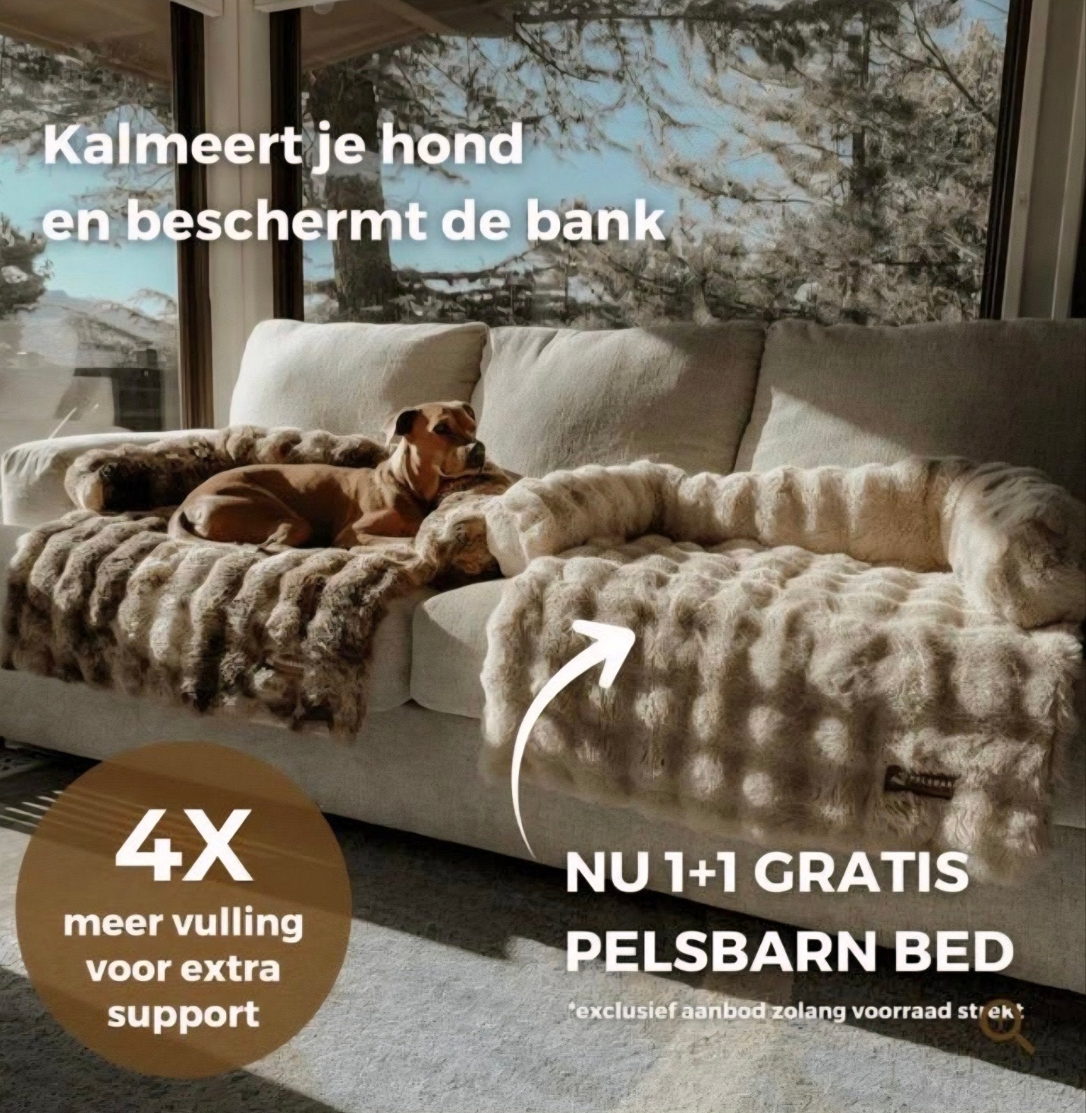 hond, hondenmand, mand , kleed 1+1 gratis en korting, Ophalen of Verzenden, Nieuw