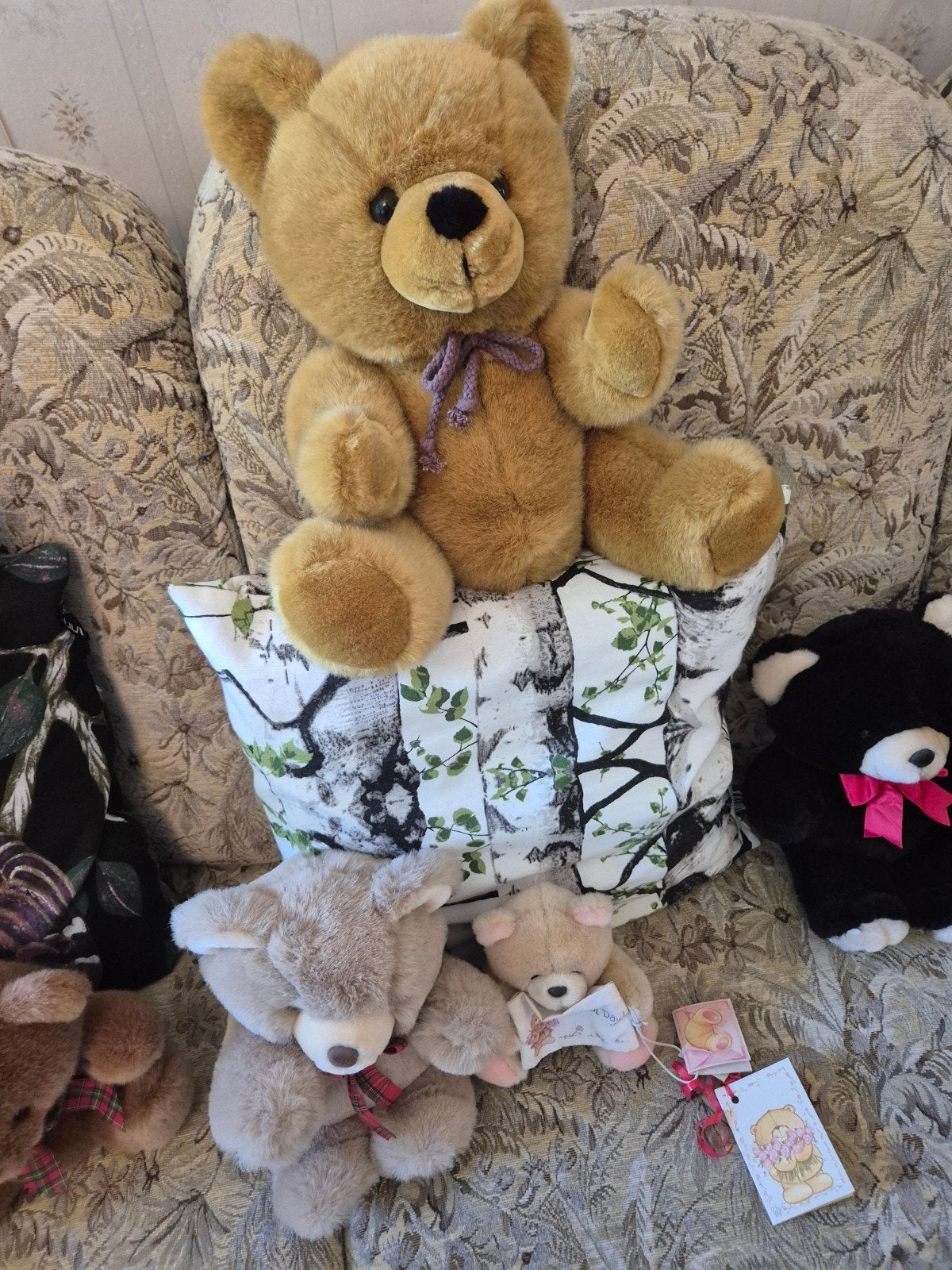 Diverse knuffelberen - Woodland Bear, Forever Friends, Gebruikt, Overige merken, Beer, Zwart