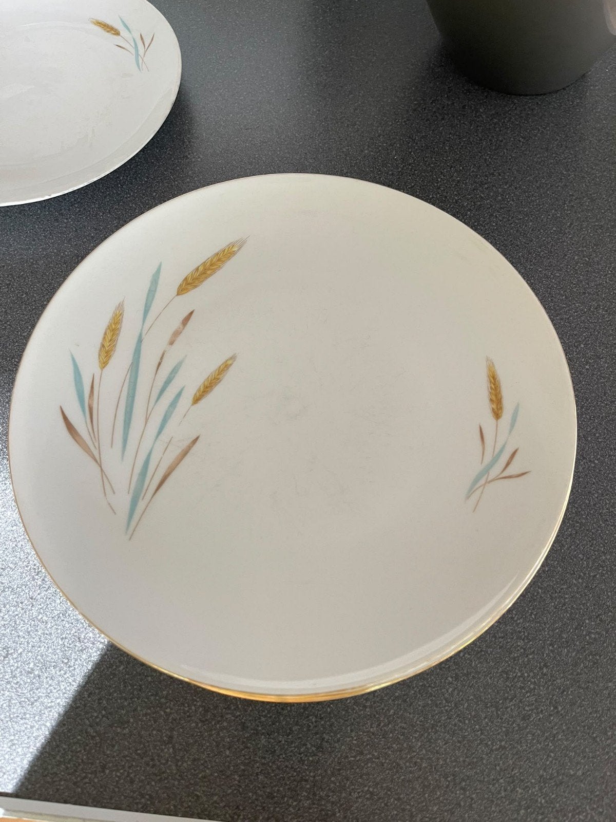 Gezocht: Bavaria Winterling Röslau 'Wheat' borden, Antiek en Kunst, Ophalen of Verzenden