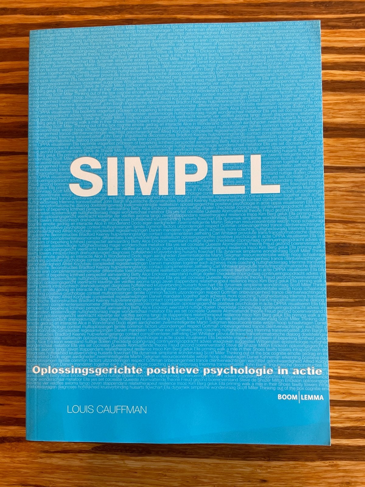 Boek: Simpel - Oplossingsgerichte positieve psychologie, Ophalen of Verzenden, Zo goed als nieuw