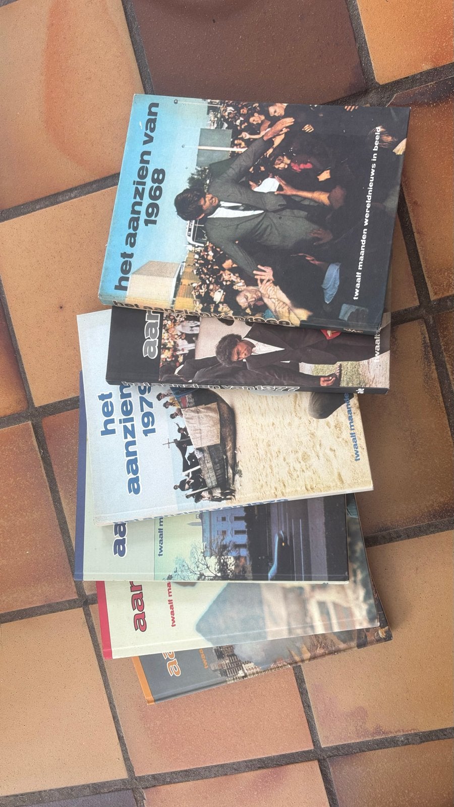 Het Aanzien van boeken, Boeken, Ophalen of Verzenden, Gelezen, Overige typen