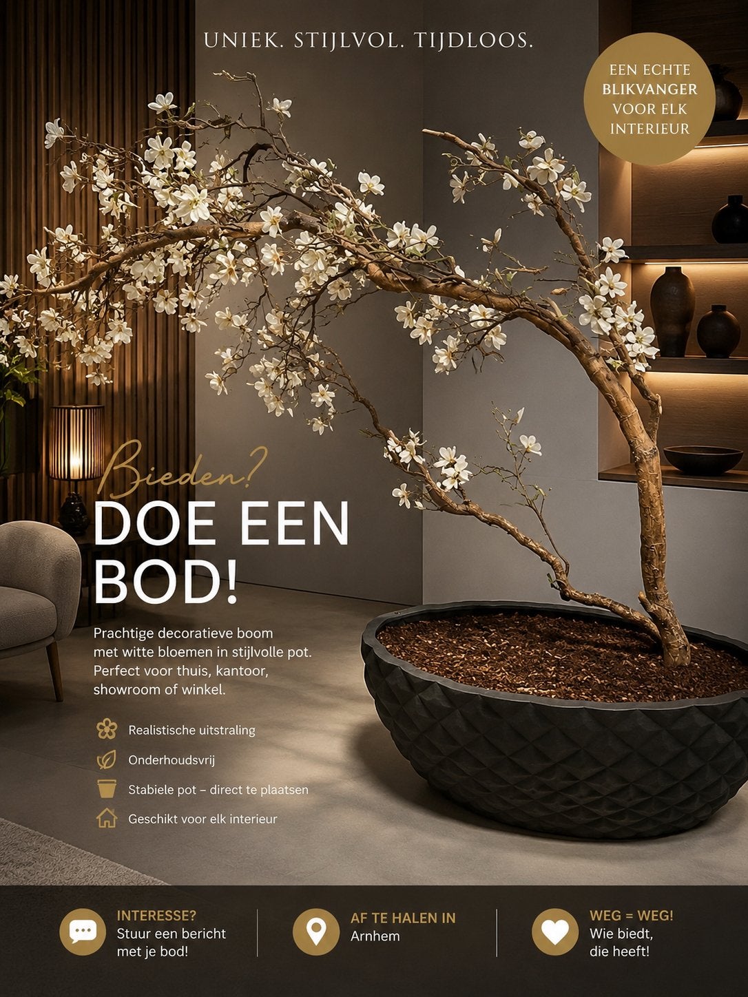 Magnolia boom, Ophalen of Verzenden, Volle zon, Overige soorten