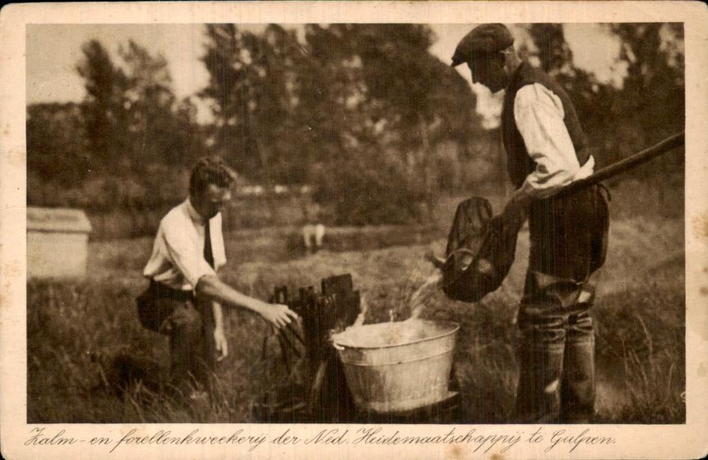 Gulpen - Zalm- en forellenkwekerij - Ned. Heidemaatschappij, Ophalen of Verzenden, 1920 tot 1940, Gelopen, Limburg