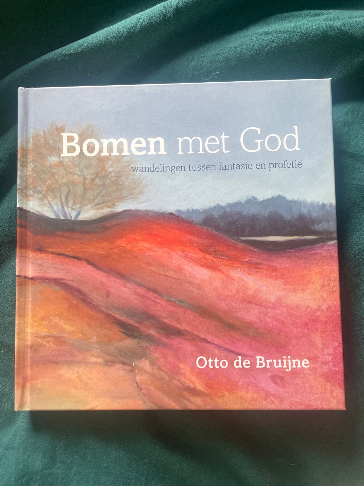 Bomen met God: wandelingen tussen fantasie en profetie, Ophalen of Verzenden, Nieuw, Spiritualiteit algemeen, Verhaal of Roman