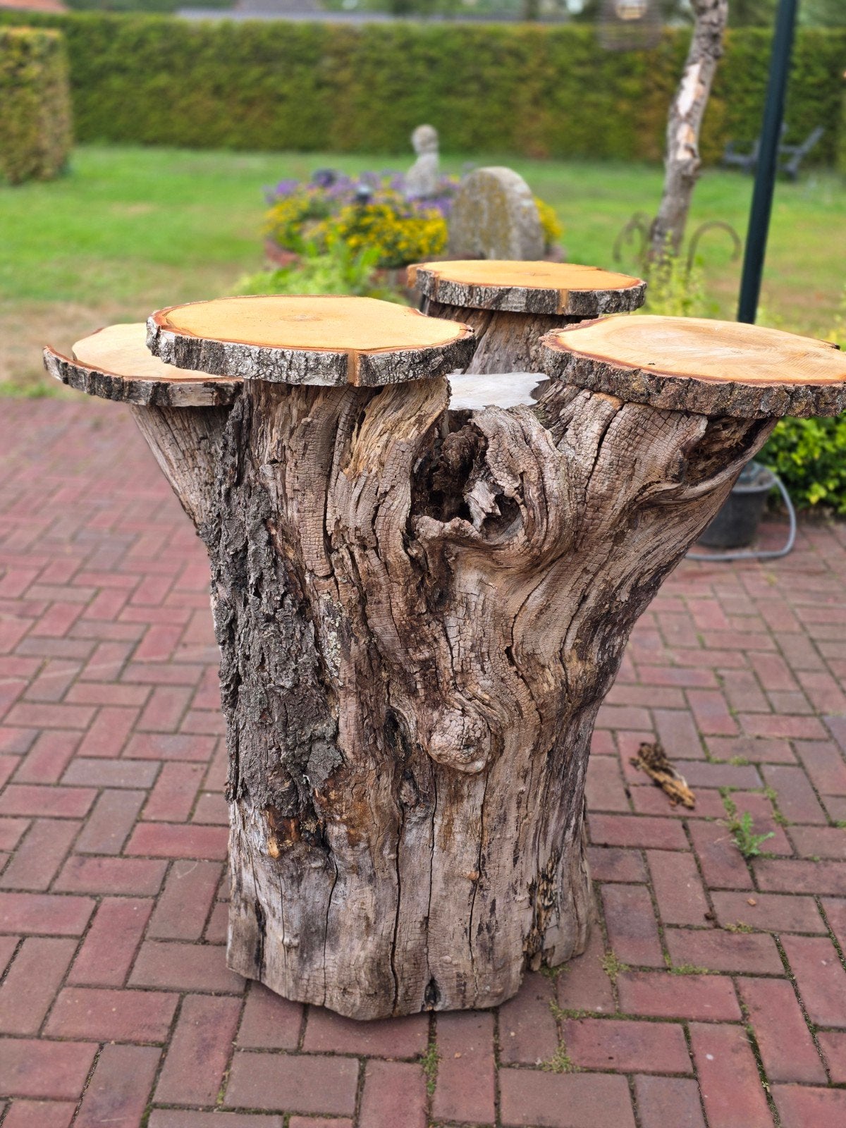 Boomstam tafel van oude kersenboom, Ophalen, Gebruikt