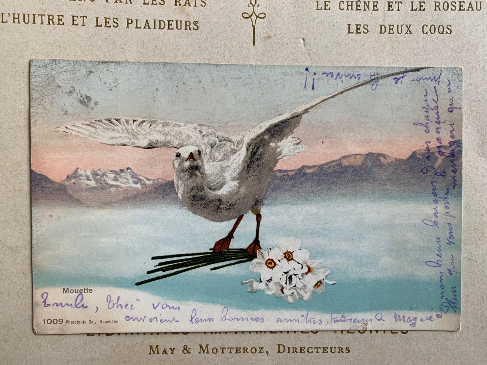 1908 Mouette - zeemeeuw (LE), Ophalen of Verzenden, Voor 1920, Gelopen, Vogel