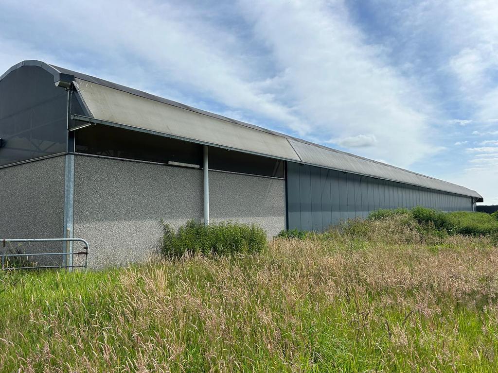 Serrestal te koop 65x20, Zakelijke goederen, Agrarisch | Agrarisch Onroerend goed, Ophalen, Melkveehouderij