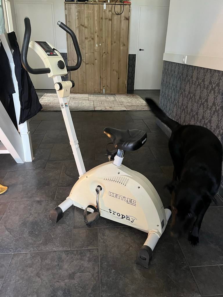 Hometrainer Kettler Trophy, Ophalen, Gebruikt, Metaal, Benen