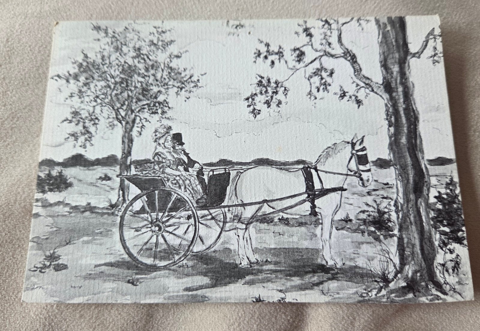 Folklore Landbouwtentoonstelling Gieter, Ophalen of Verzenden, 1940 tot 1960, Gelopen, Friesland