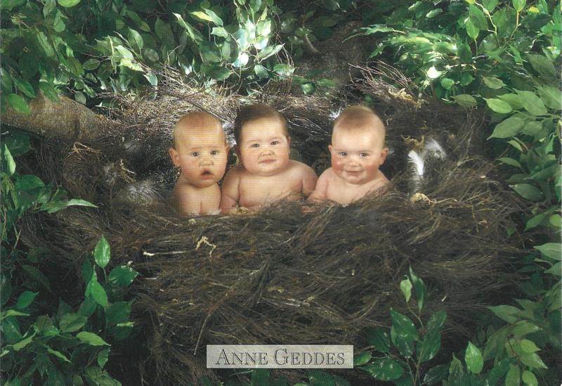 Anne Geddes kaart nr. A250: Baby Vogels, Verzenden, 1980 tot heden, Ongelopen, Kinderen