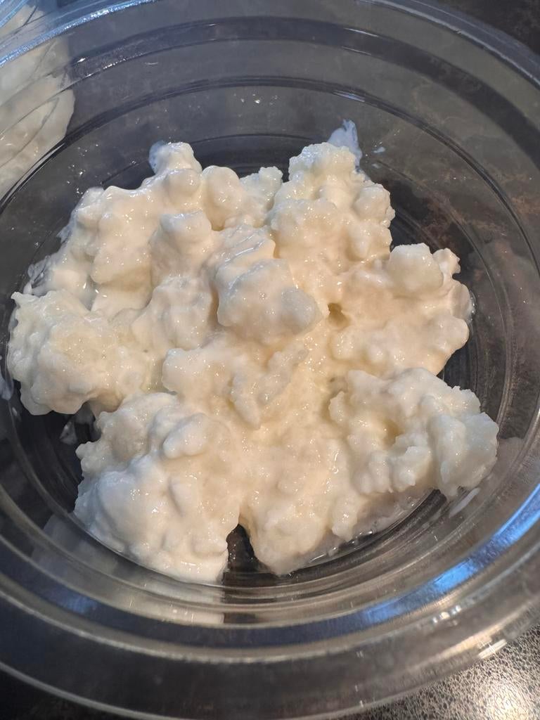 Doosje Kefir korrels 60 gram, Ophalen