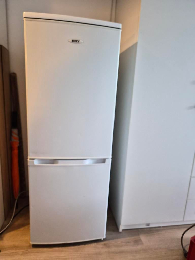 Nette EDY Koel-vriescombinatie (160L), Ophalen, Gebruikt, 120 tot 140 cm, Minder dan 60 cm