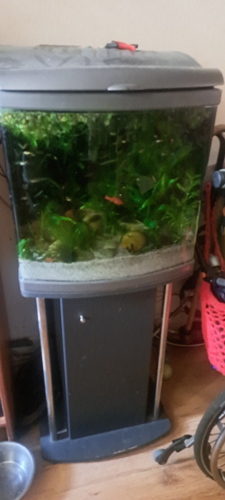 Aquarium met toebehoren, Ophalen of Verzenden, Gebruikt, Gevuld zoetwateraquarium