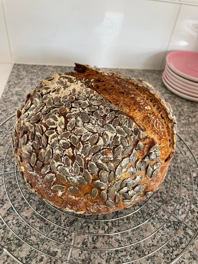 Zuurdesem starter en kombucha SCOBY, Ophalen