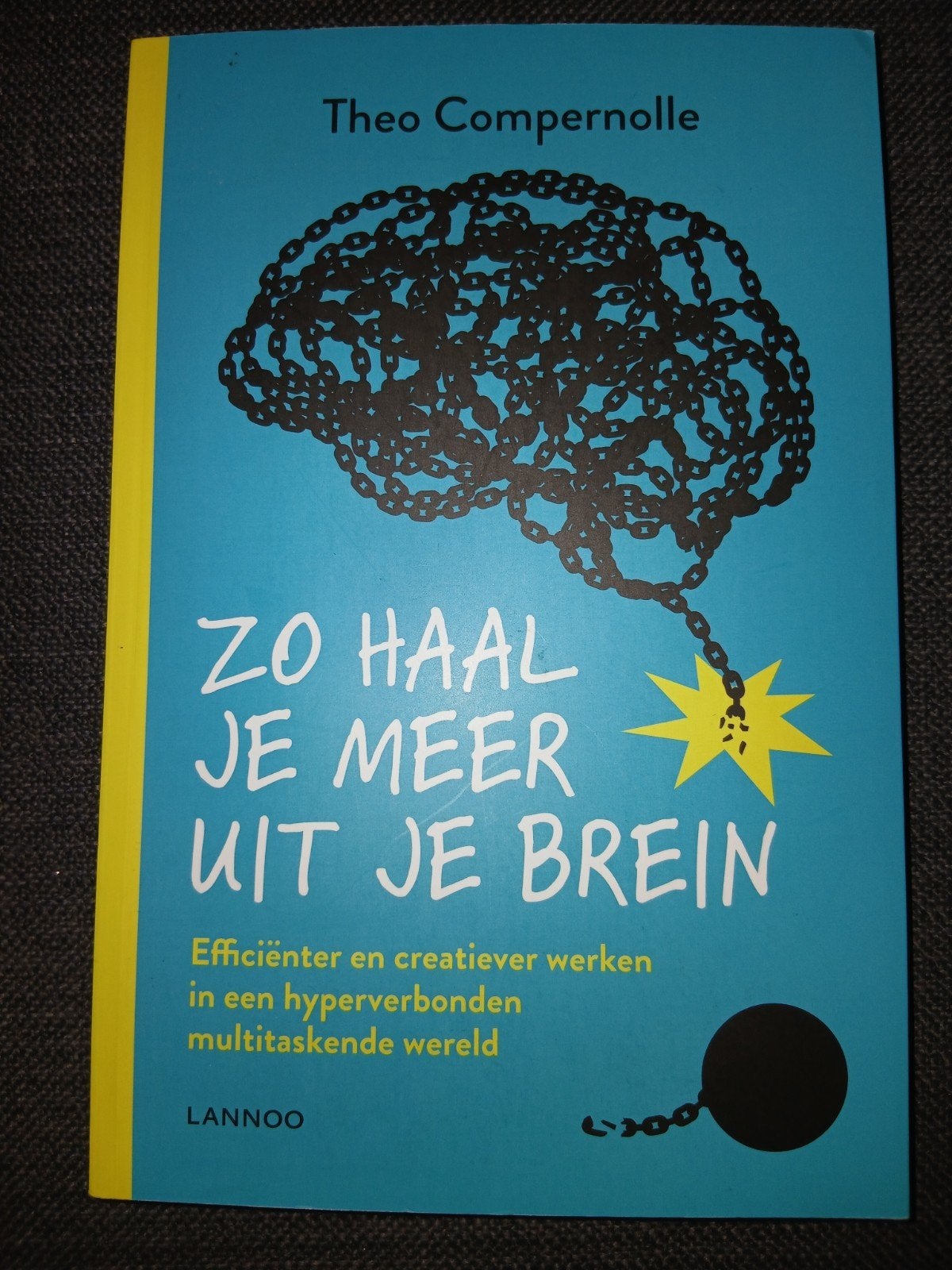 Theo Compernolle, zo haal je meer uit je brein., Boeken, Ophalen of Verzenden, Zo goed als nieuw, Theo Compernolle