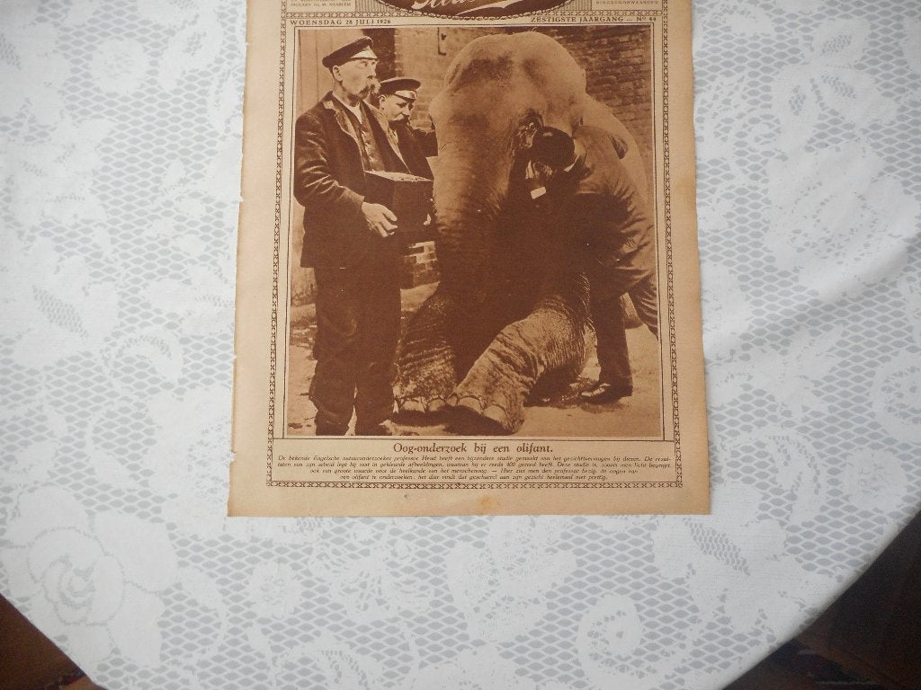 Olifant bij oogarts. Engeland. 1926., Verzamelen, Ophalen of Verzenden, 1920 tot 1940, Nederland, Knipsel(s)