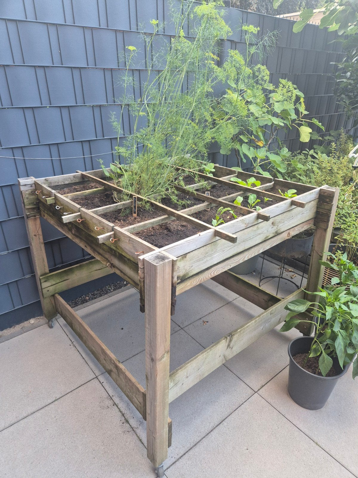 Houten Kweektafel op Wielen - Verrijdbaar Moestuinbak, Ophalen, Rechthoekig, Hout