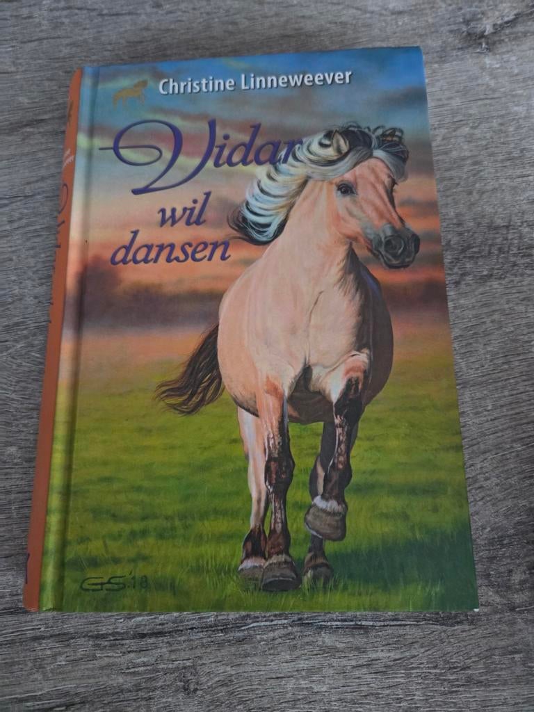 Vidar wil dansen - Christine Linneweever, Ophalen of Verzenden, Zo goed als nieuw, Christine Linneweever, Fictie algemeen