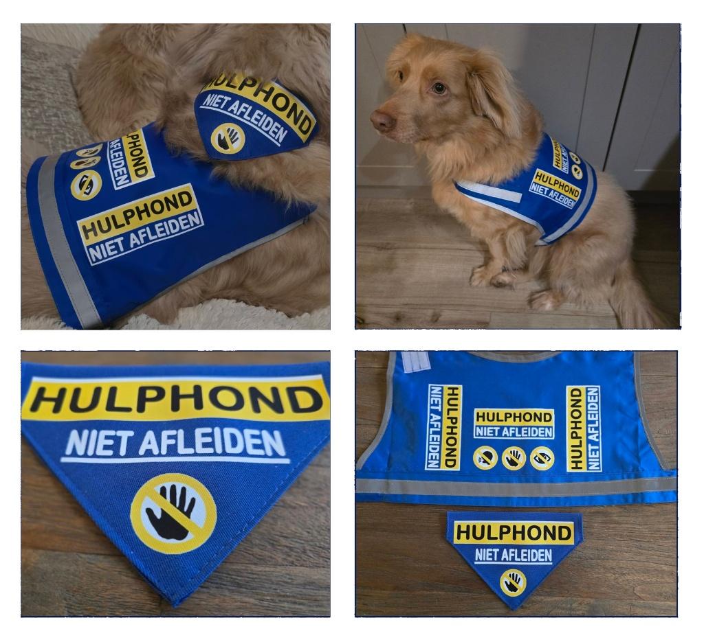 hulphond & assistentiehond producten, Dieren en Toebehoren, Verzenden, Nieuw