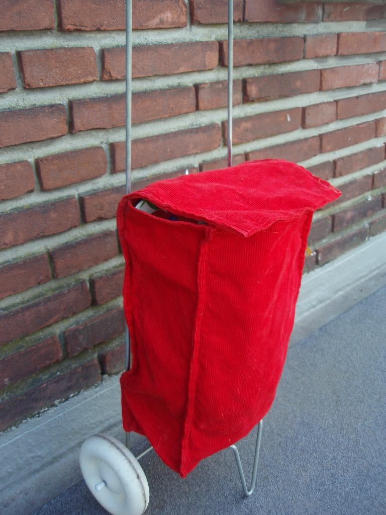 Kunststof (rol)boodschappenwagentje, Ophalen, Zo goed als nieuw, Duw- of Trekspeelgoed