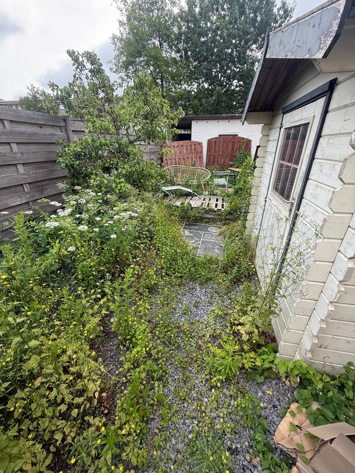 Tuin opknappen gezocht: €1.000 vast budget, Tuin en Terras, Ophalen, Beton, Terrastegels