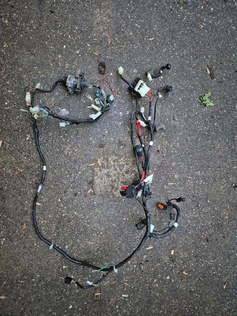 Complete kabelboom sym mio 50i, Fietsen en Brommers, Ophalen of Verzenden, Overige typen, SYM