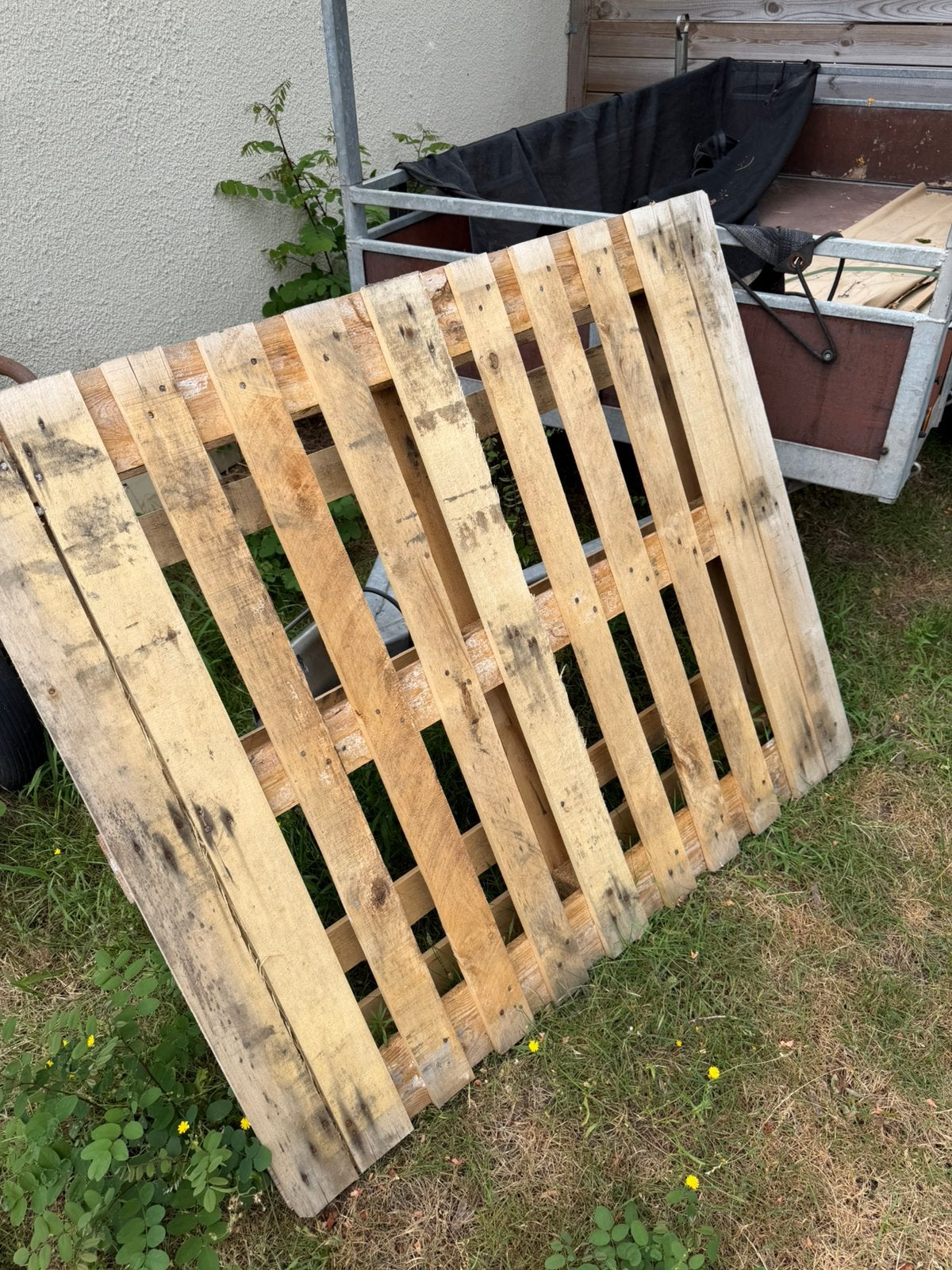 Pallet. Gratis ophalen, Ophalen, Zo goed als nieuw, 50 mm of meer, Minder dan 200 cm