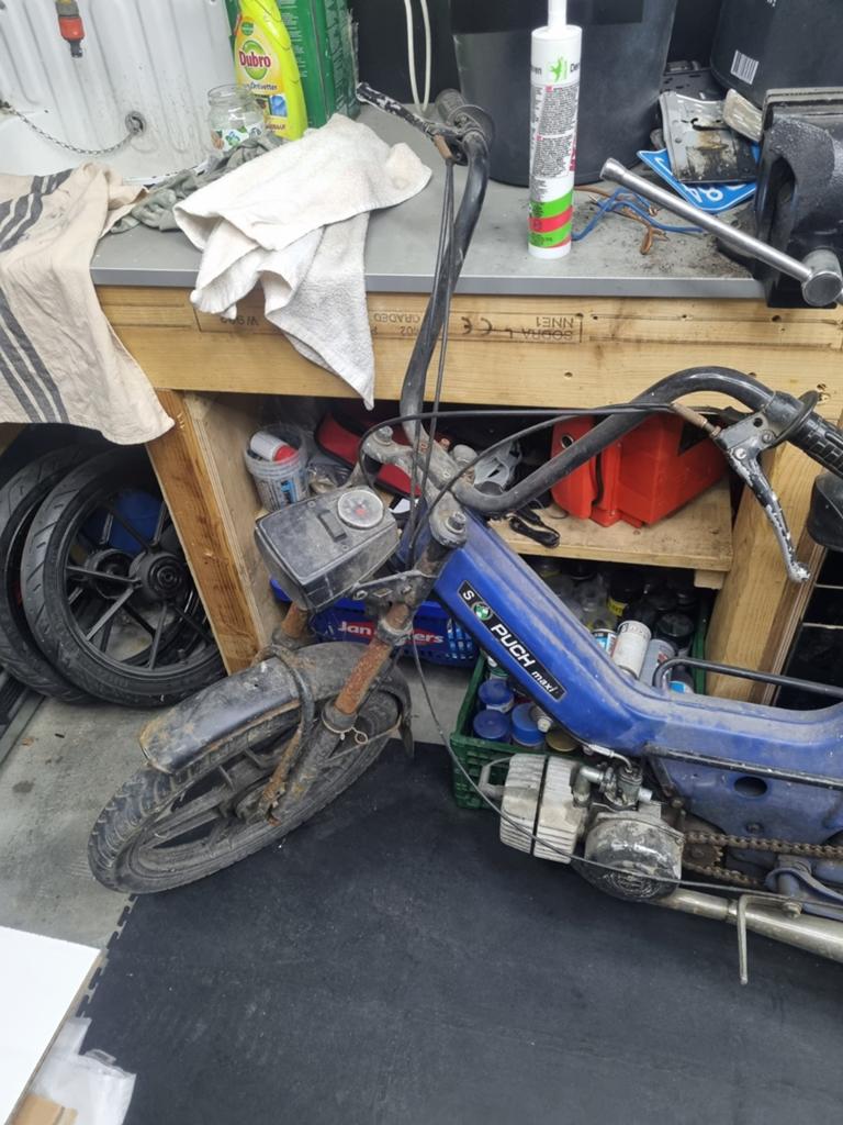 Puch Maxi gele plaat, Fietsen en Brommers, Brommers | Puch, Puch, Puch, Ophalen of Verzenden, Puch