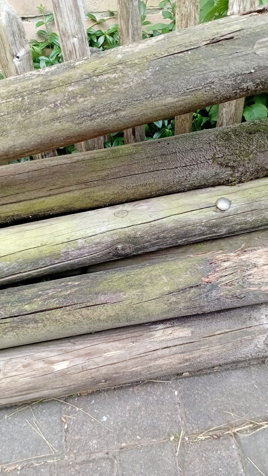 GRATIS BRANDHOUT ZUIDHORN, Tuin en Terras, Ophalen, Gebruikt, 180 tot 250 cm, Palen