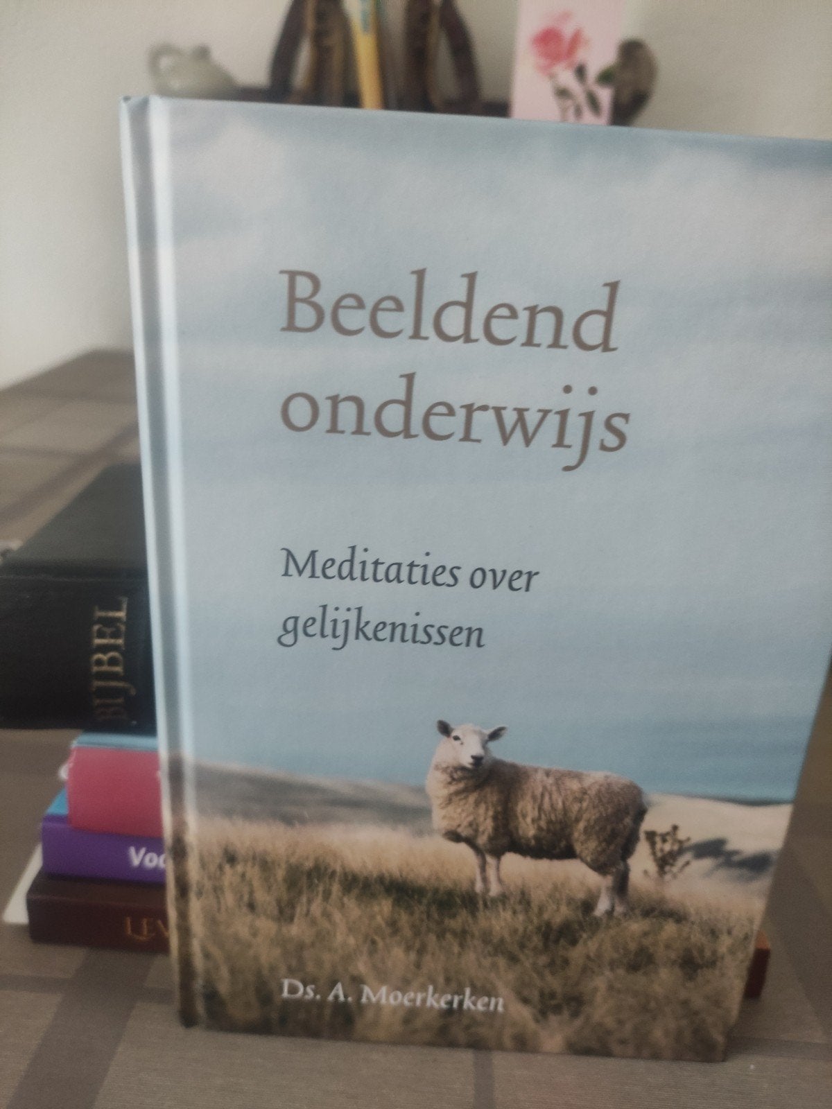 Ds. A. Moerkerken - Beeldend onderwijs, Ophalen of Verzenden, Nieuw, Ds. A. Moerkerken