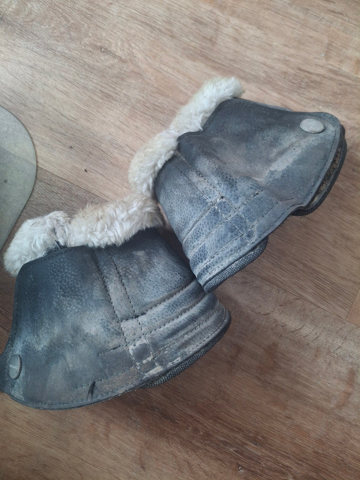 springschoenen, Dieren en Toebehoren, Springschoenen, Gebruikt, Fouganza, Springen