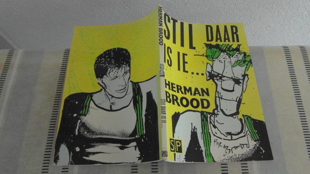 HERMAN BROOD ; keus uit 2 fraaie boeken, Ophalen of Verzenden, Zo goed als nieuw, Schilder- en Tekenkunst