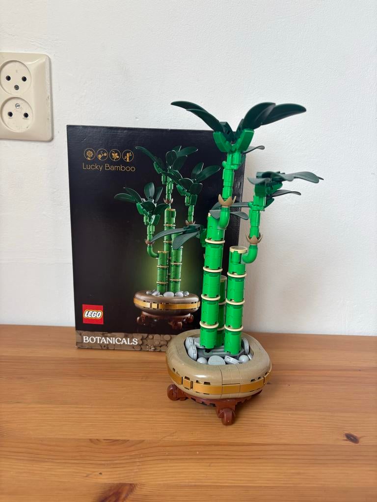 LEGO Botanicals Lucky Bamboo 10344 - Zo goed als nieuw, Ophalen of Verzenden, Zo goed als nieuw