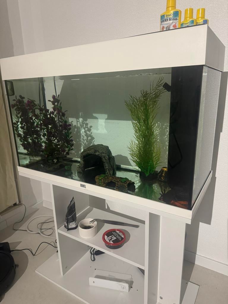Aquarium Juwel 125, Ophalen of Verzenden, Zo goed als nieuw, Leeg aquarium