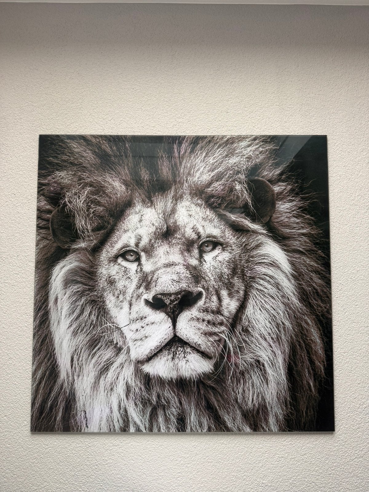 Glasschilderij, Ophalen, Zo goed als nieuw, 75 tot 100 cm, Schilderij