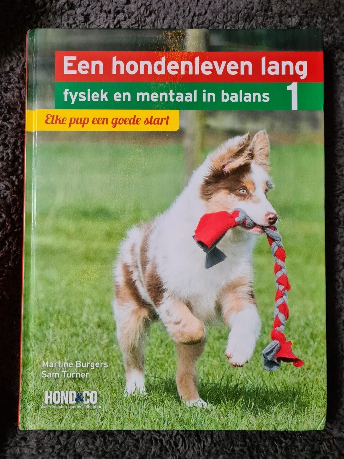 Elke pup een goede start-Martine Burgers, Boeken, Gelezen, Honden, Ophalen of Verzenden, Martine Burgers; Sam Turner